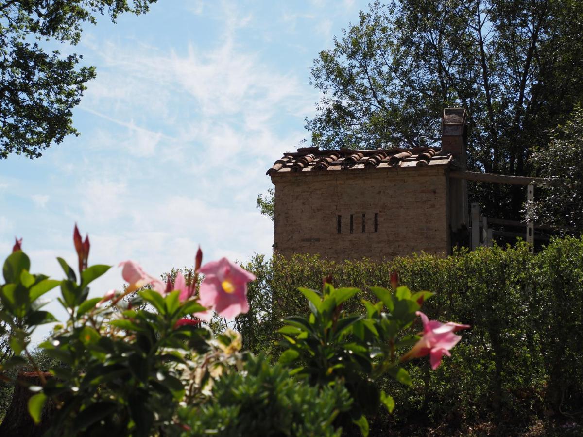 Villa Orsini Peccioli - Villa Storica Ad Uso Esclusivo Con Piscina Exterior foto