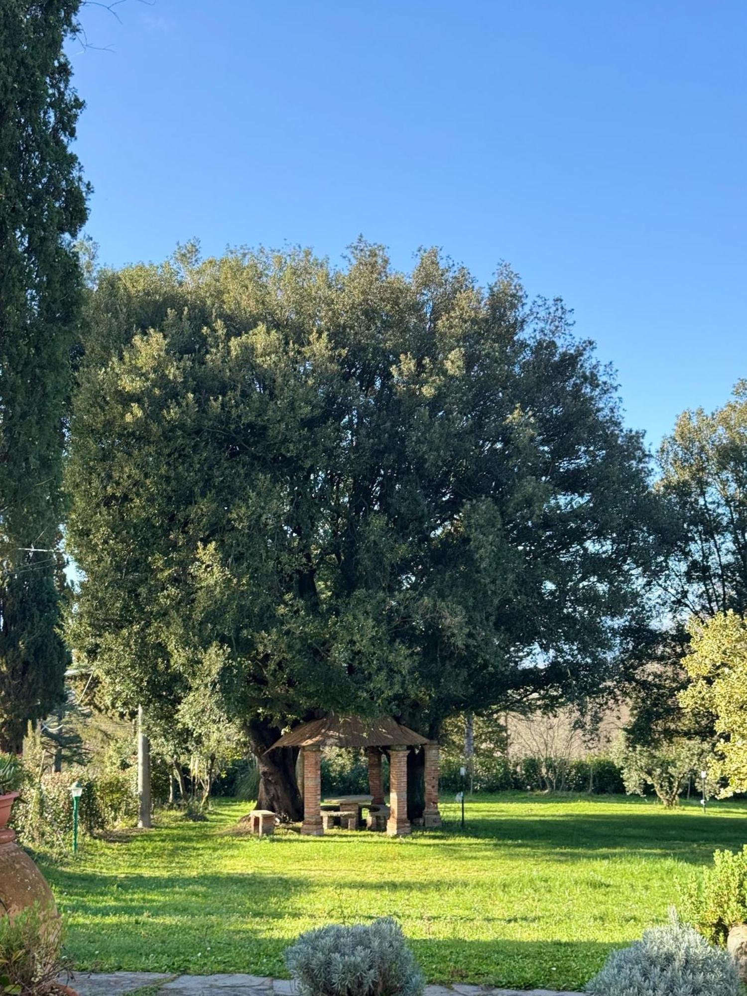 Villa Orsini Peccioli - Villa Storica Ad Uso Esclusivo Con Piscina Exterior foto